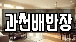 과천배반장
