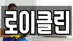 로이클린