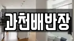 과천배반장