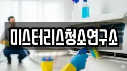 미스터리스청소연구소