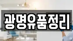 광명유품정리