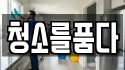 청소를품다