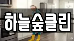 하늘숲클린