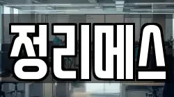정리메스