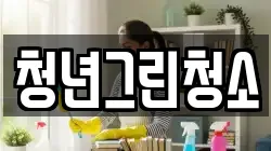 청년그린청소