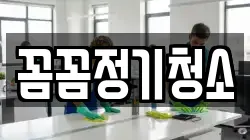 꼼꼼정기청소