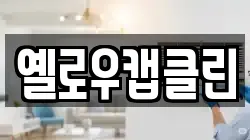 옐로우캡클린