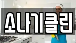 소나기클린