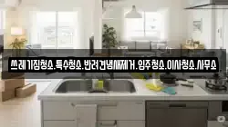 쓰레기집청소.특수청소.반려견냄새제거.입주청소.이사청소.사무소