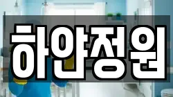 하얀정원