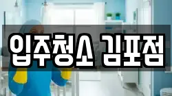 입주청소 김포점