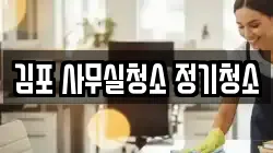 김포 사무실청소 정기청소