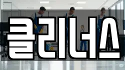 클리너스