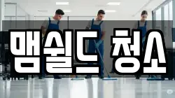 맴쉴드 청소