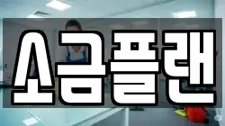 소금플랜