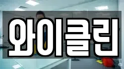 와이클린