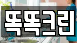 똑똑크린