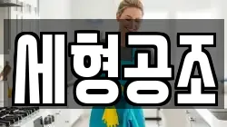 세형공조