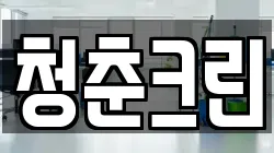 청춘크린