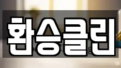 환승클린
