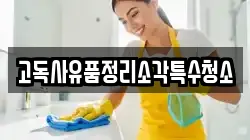 고독사유품정리소각특수청소