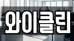 와이클린