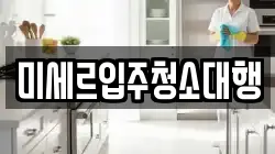 미세르입주청소대행