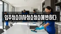 입주청소이사청소청소에반하다