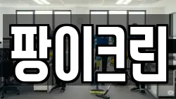 팡이크린