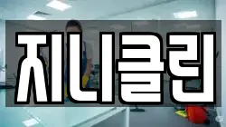 지니클린