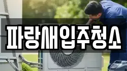 파랑새입주청소