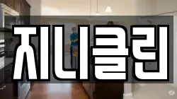 지니클린