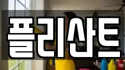 플리산트