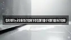 집치워주는곳유품정리업체가정집폐기물수거폐기물처리업체