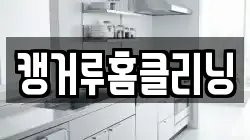캥거루홈클리닝