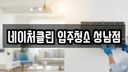네이처클린 입주청소 성남점