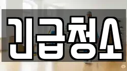 긴급청소