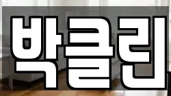 박클린