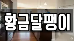 경기 성남시 수정구 양지동 청소,입주청소,사무실청소,에어컨청소,특수청소,상가청소,거주청소,유품정리