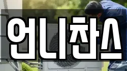 언니찬스