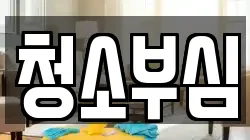 청소부심
