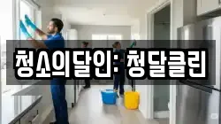 청소의달인: 청달클린