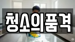청소의품격