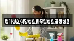 정기청소,식당청소,사무실청소,공장청소