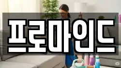 프로마인드