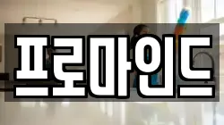프로마인드