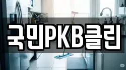 국민PKB클린