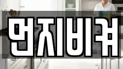 먼지비켜