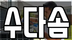 수다솜