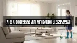 자동차에어컨청소냄새제거실내에바크리닝업체